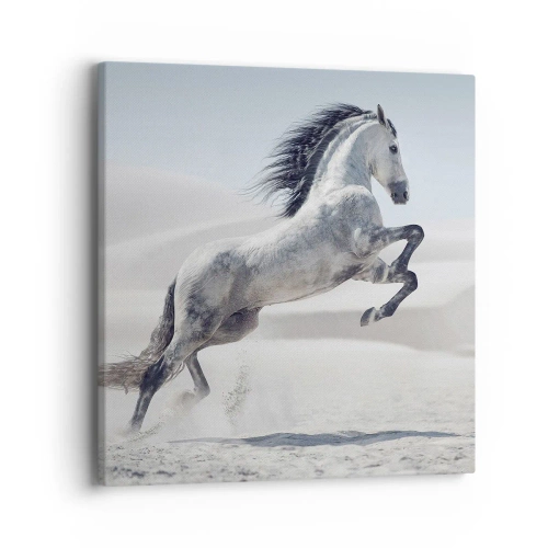 Lærredstryk - Billede på lærred - Arabisk prins - 40x40 cm