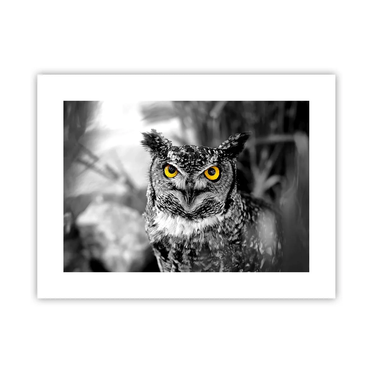 Plakat - Intet kan skjules - 40x30 cm