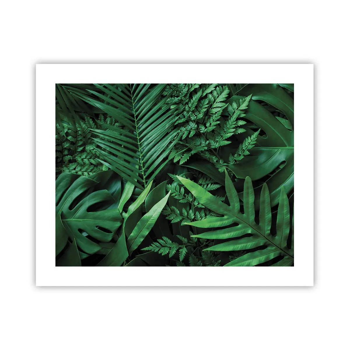 Plakat - Kranset i grønt - 50x40 cm