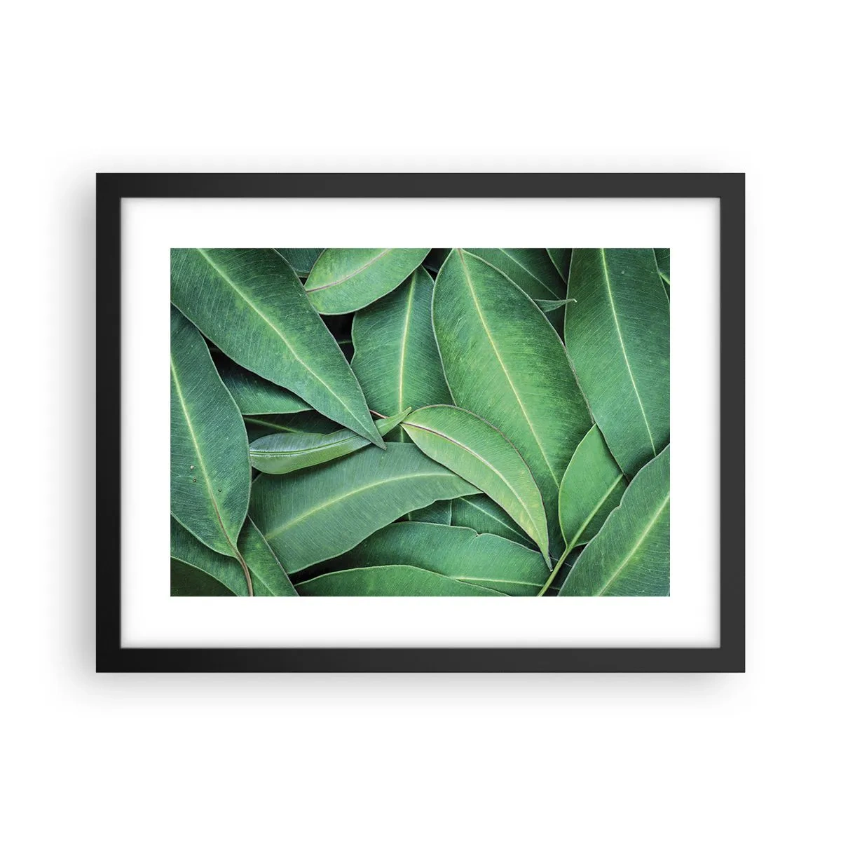 Plakat i sort ramme - Saftig og frisk - 40x30 cm