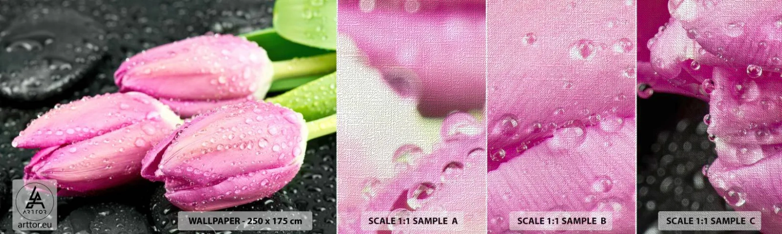 Prøve Fototapet Premium Canvas - Lilla tre på sort sten - Blomster, Tulipaner, Buket blomster - 100x30 cm