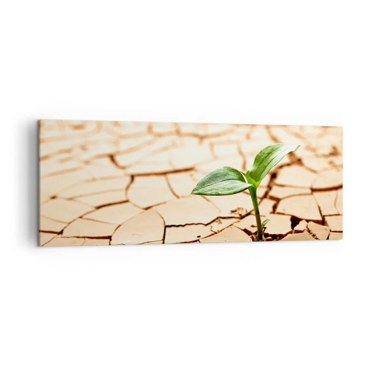 Lærredstryk - Billede på lærred - Den ukuelige livskraft - 140x50 cm