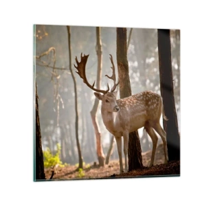 Billede på glas - Ungdommens lys - 70x70 cm