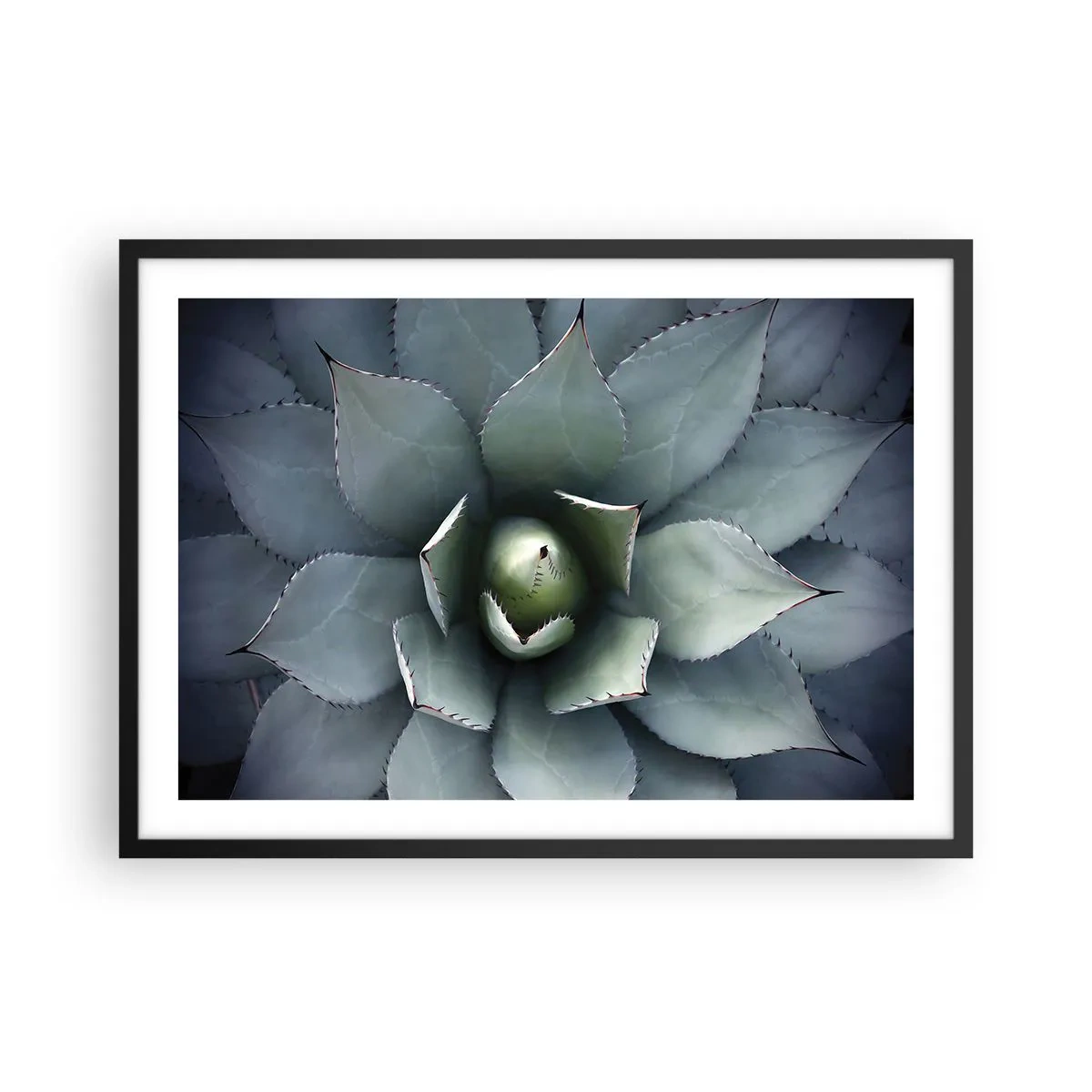 Plakat i sort ramme - Lokkemad og advarsler - 70x50 cm