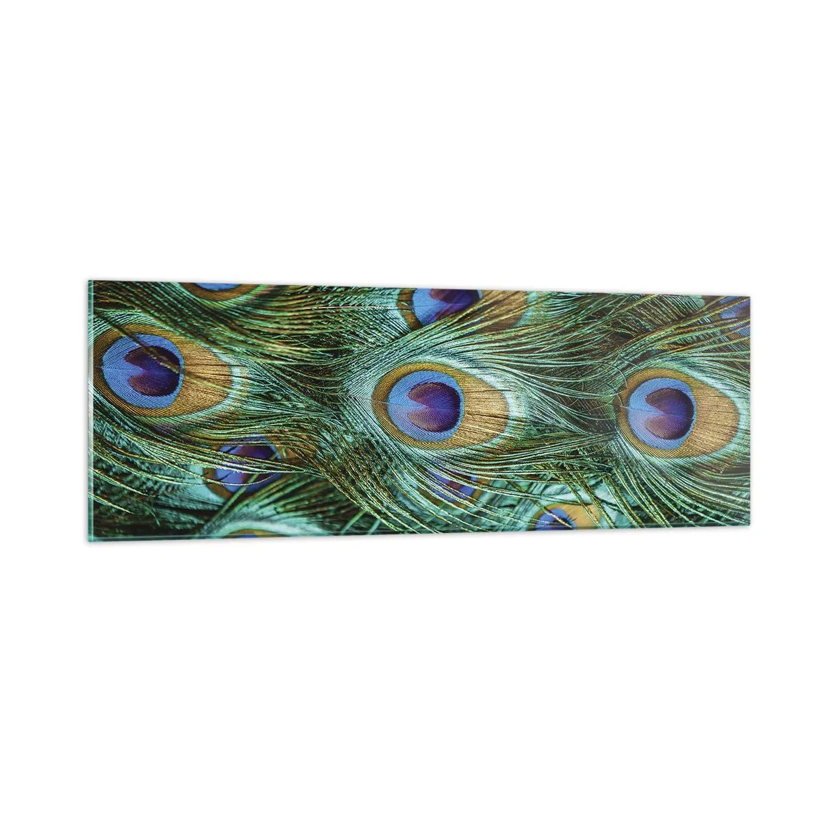 Billede på glas - En påfugls blik - 90x30 cm