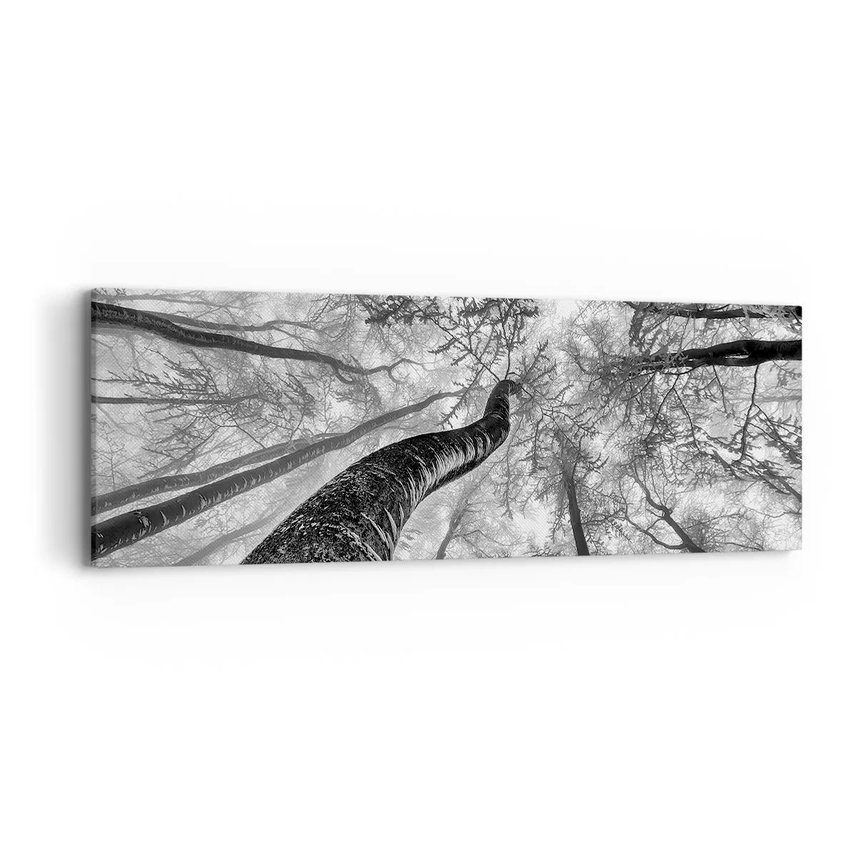 Lærredstryk - Billede på lærred - Kapløb mod lyset - 90x30 cm