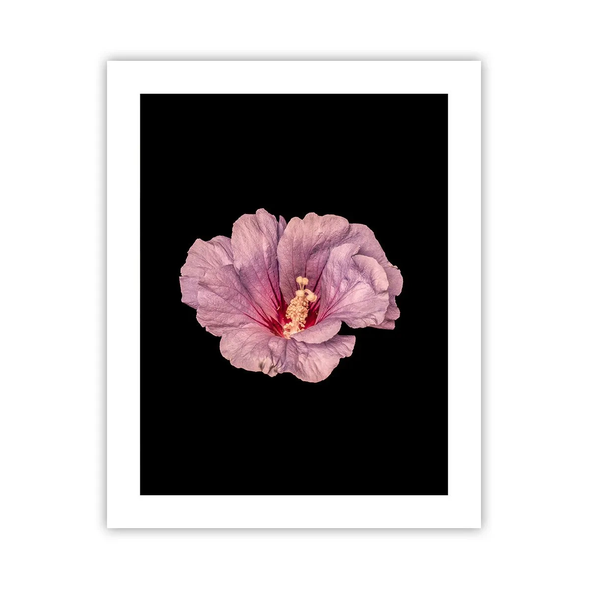 Plakat - Lige i hjertet - 40x50 cm