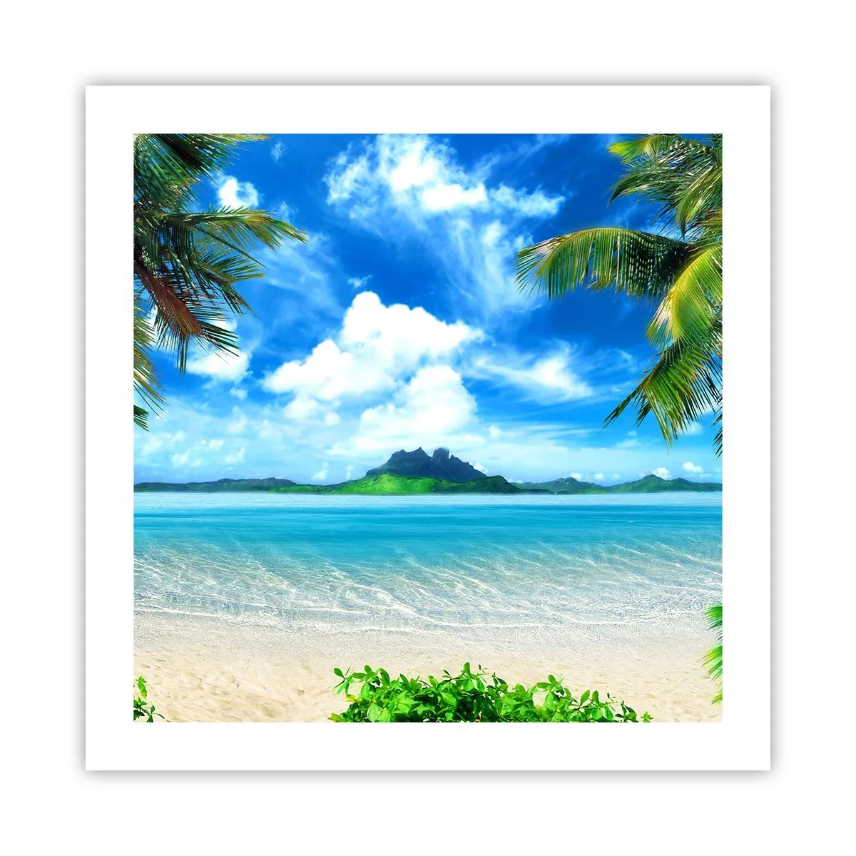 Plakat - Azur i troperne - 50x50 cm