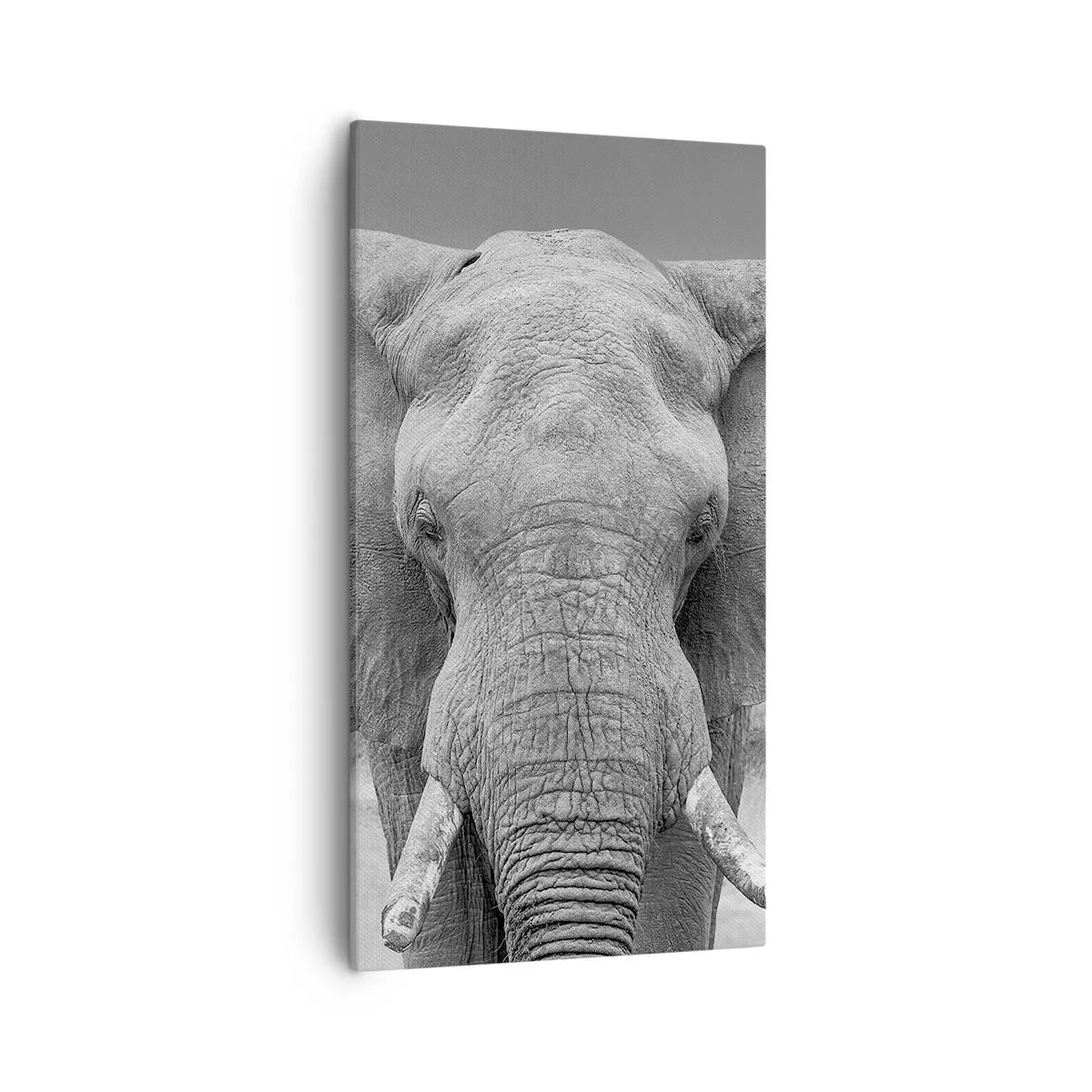 Lærredstryk - Billede på lærred - Velkommen til min verden - 55x100 cm