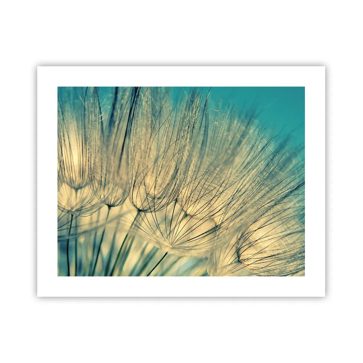 Plakat - Venter på vinden - 50x40 cm