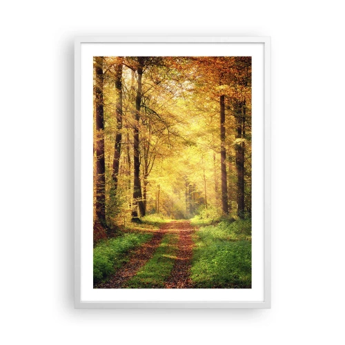Plakat i hvid ramme - Skovgylden stilhed - 50x70 cm