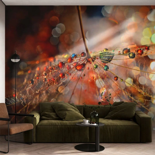 Fototapet Premium Sand - Trådet på et edderkoppespind - Abstraktion, edderkoppespind, Stykke - 400x280 cm