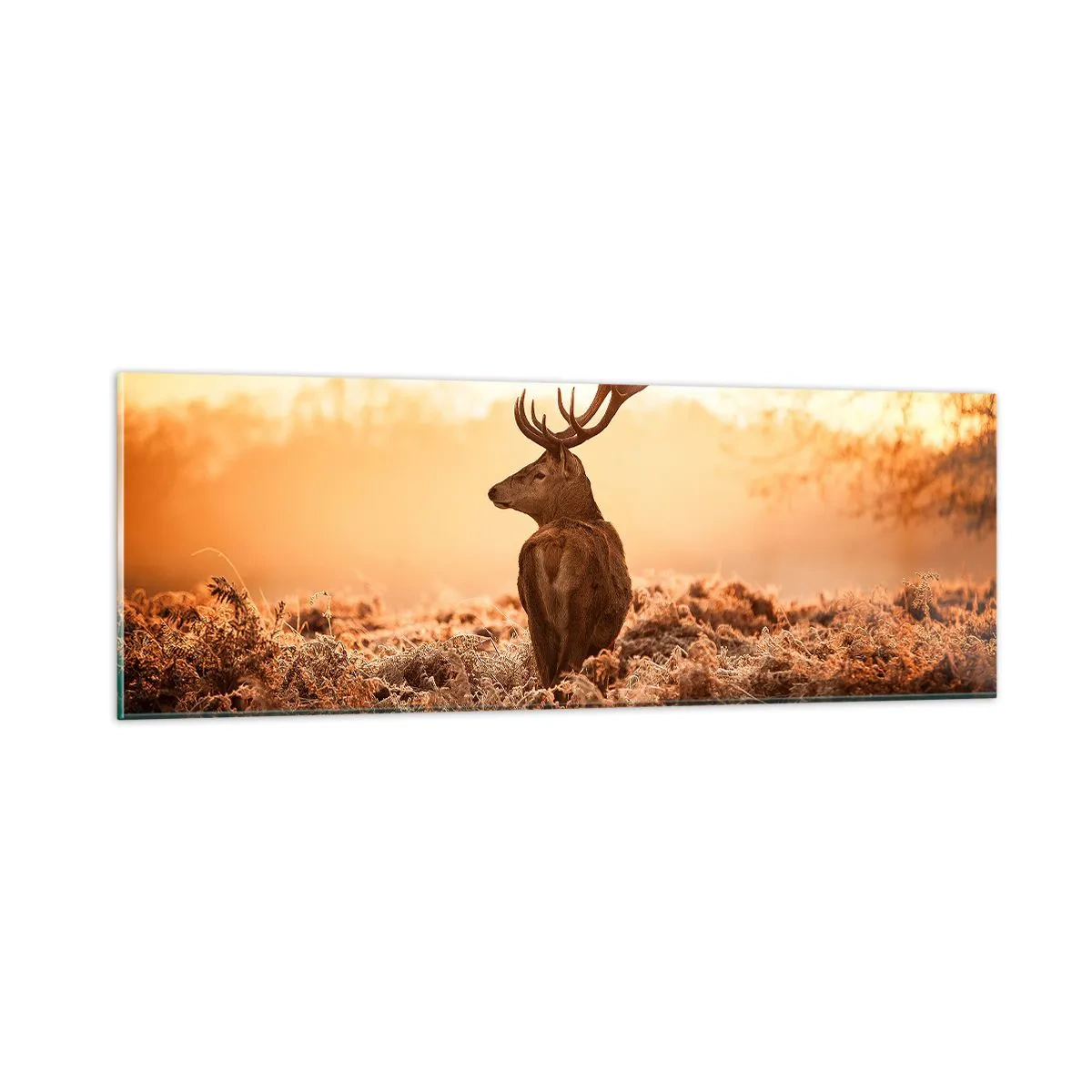 Billede på glas - Herre på godset - 90x30 cm