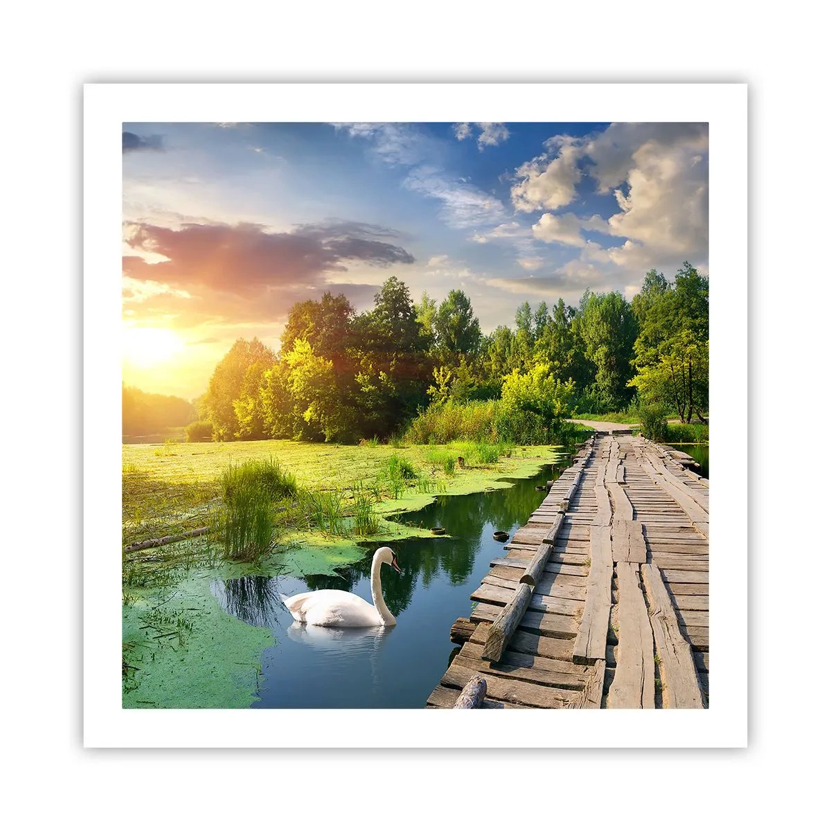 Plakat - Sommer, sommer overalt - 60x60 cm