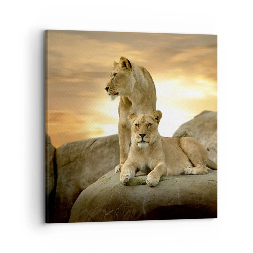 Lærredstryk - Billede på lærred - Kongelig majestæt - 70x70 cm