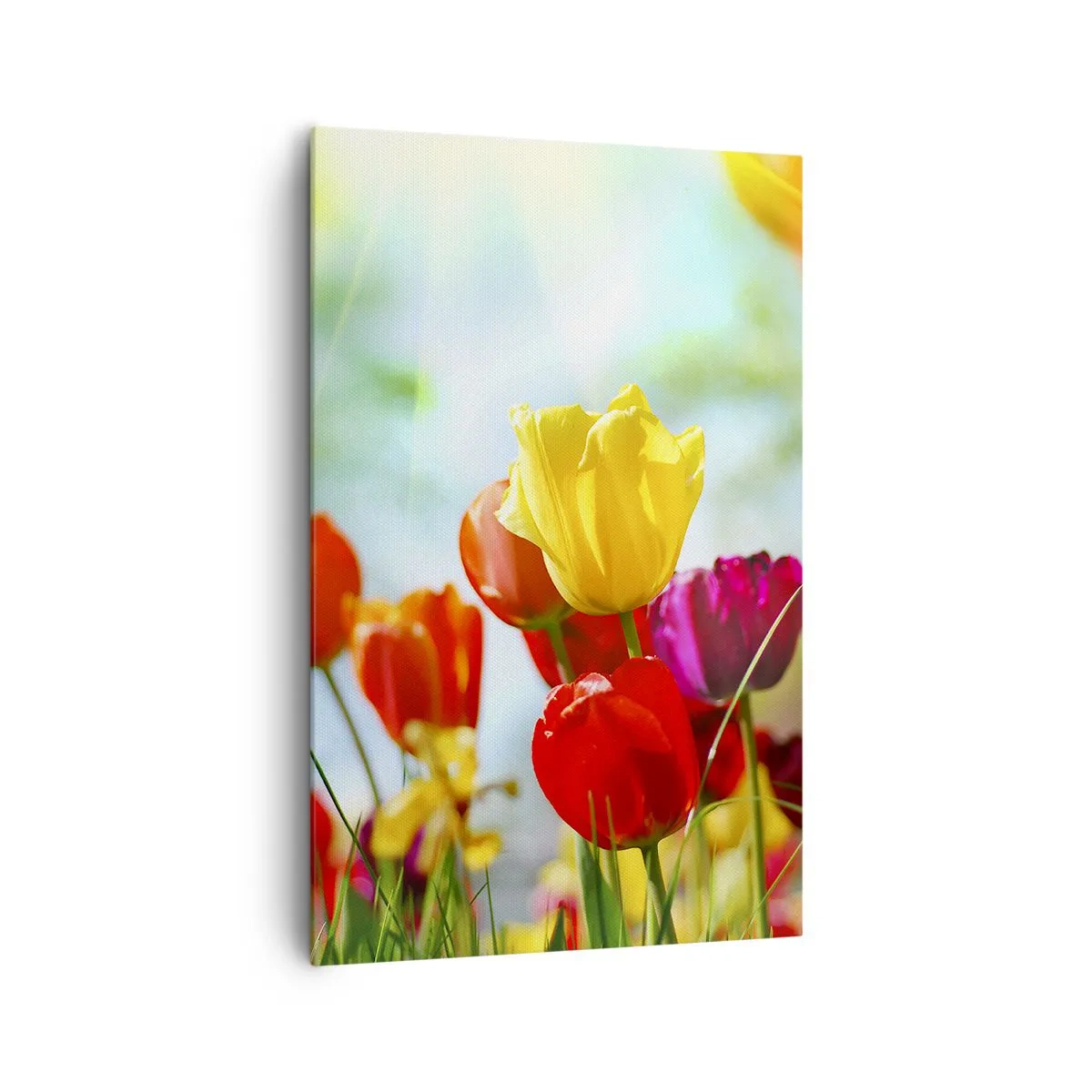 Lærredstryk - Billede på lærred - Alle solens farver - 80x120 cm