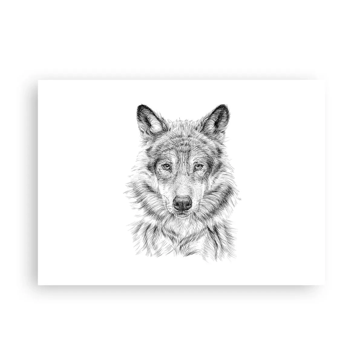 Plakat - En født leder - 70x50 cm