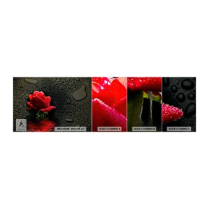Fototapet Prøve Standard Eco - Rød og sort - Blomster, Rose, Vand - 100x30 cm