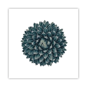 Plakat - Ørkenstjerne - 40x40 cm