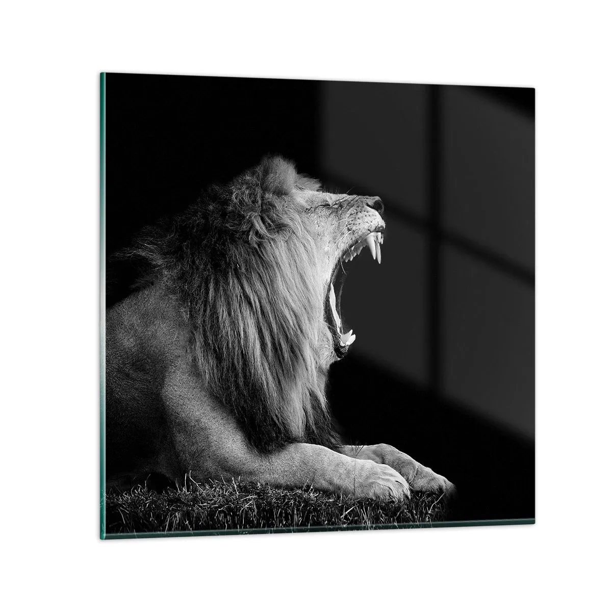 Billede på glas - Uden tvivl - 30x30 cm