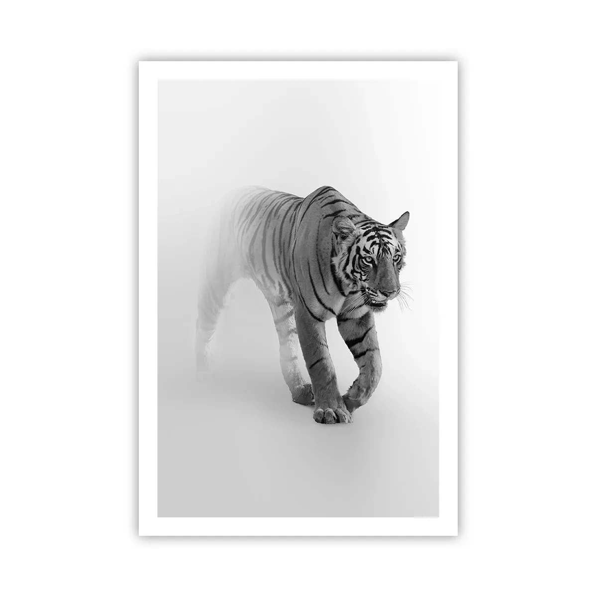 Plakat - Krybende i tågen - 61x91 cm