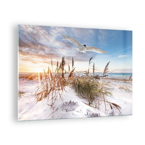 Billede på glas - En fugl, der flyver over klitterne ved solnedgang - 70x50cm - Vind fra havet - Moderne vægdekoration til stue og soveværelse ARTTOR