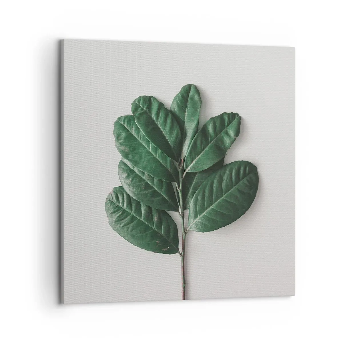 Lærredstryk - Billede på lærred - Tegning af selve naturen - 50x50 cm