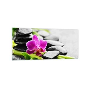 Billede på glas - I en fredelig balance - 120x50 cm