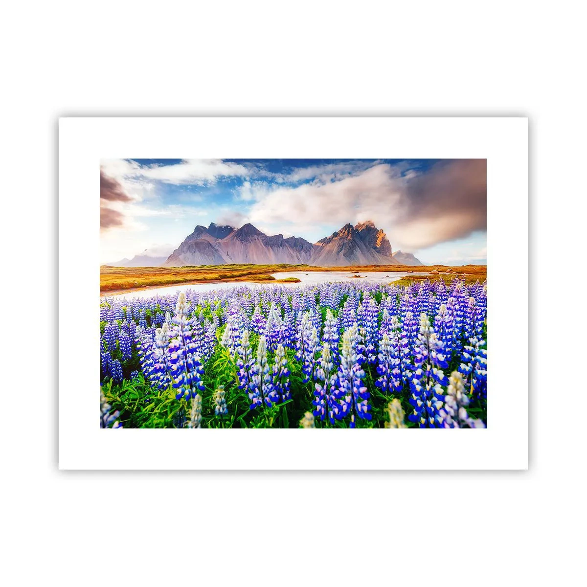 Plakat - Styrke og strenghed ved siden af blidhed - 40x30 cm