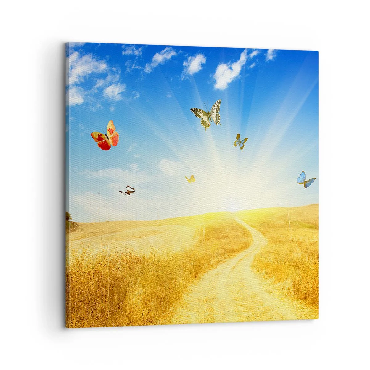 Lærredstryk - Billede på lærred - Og hvordan kan man ikke elske sommeren? - 60x60 cm