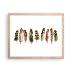 Plakat i ramme af lyst egetræ - Variation med fjer - 50x40 cm