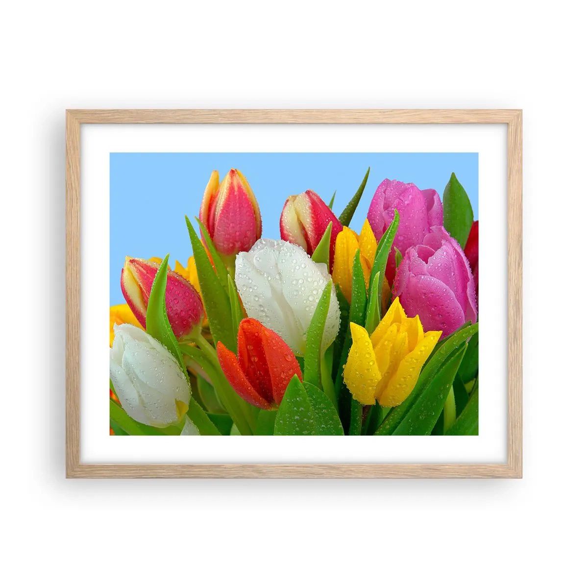Plakat i ramme af lyst egetræ - En blomstret regnbue i dugdråber - 50x40 cm