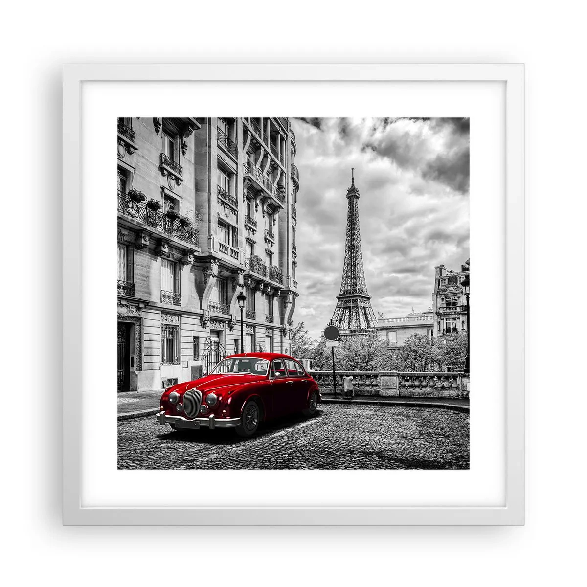 Plakat i hvid ramme - Rovdyr i byen - 40x40 cm