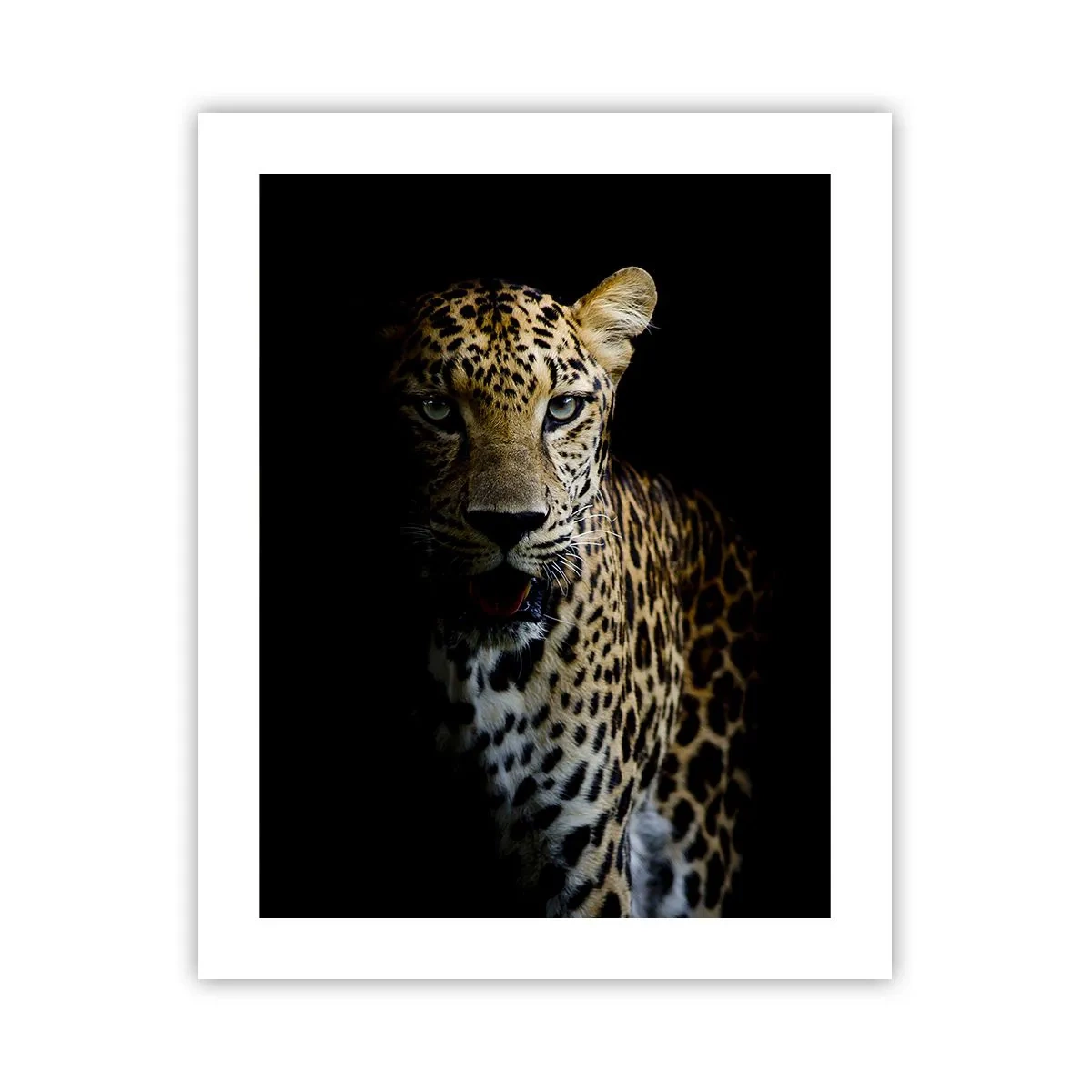 Plakat - Mørk skønhed - 40x50 cm