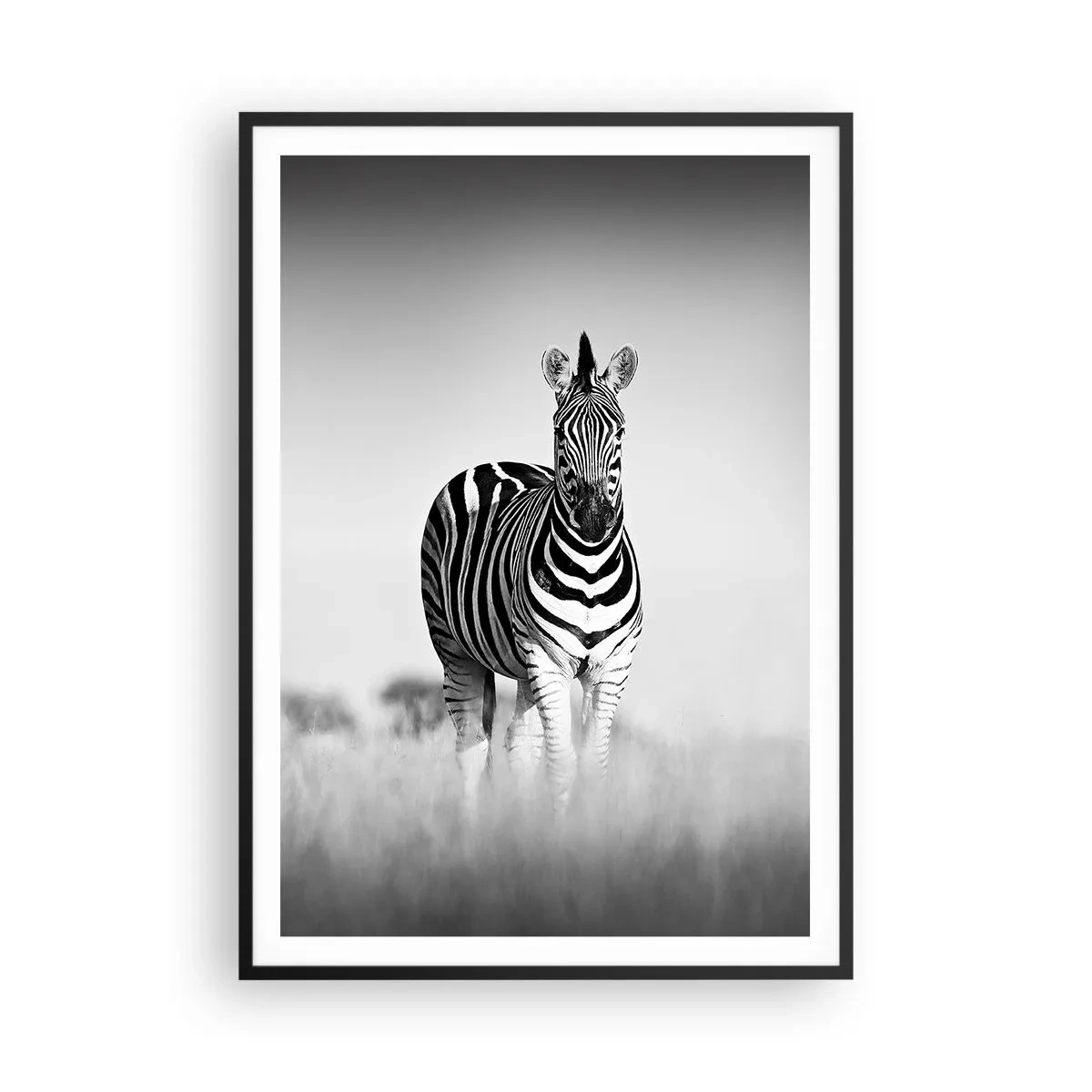Plakat i sort ramme - Og alligevel er verden sort og hvid - 70x100 cm