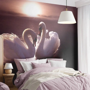 Fototapet Premium Sand - Indtil døden skiller os ad - Dyr, Landskab, Svaner - 300x210 cm