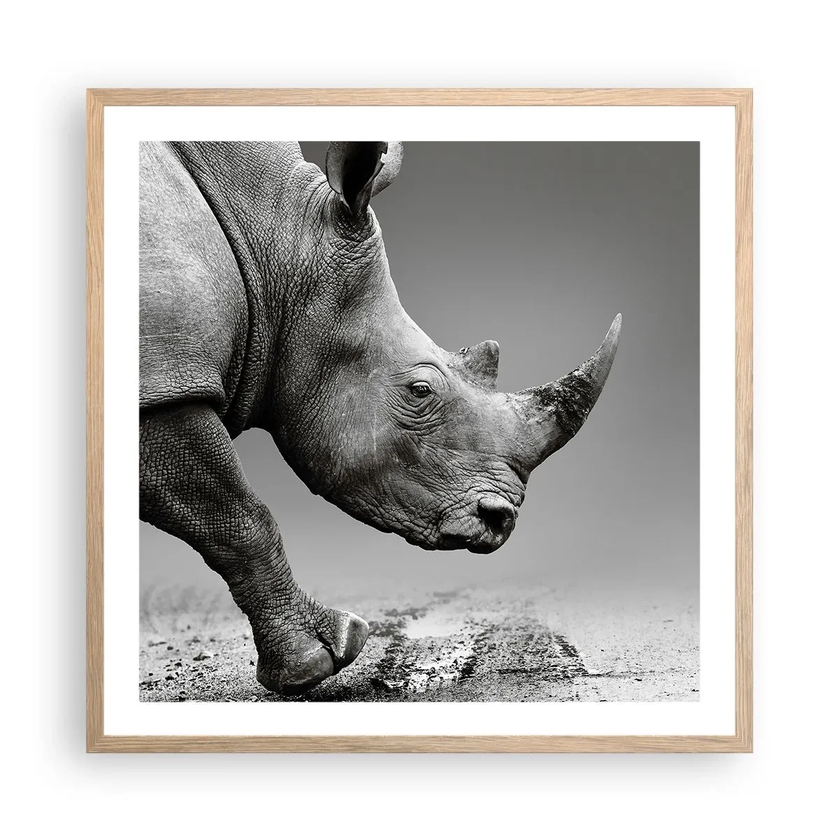 Plakat i ramme af lyst egetræ - En ustoppeli - 60x60 cm