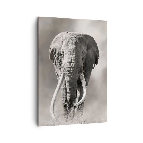 Lærredstryk - Billede på lærred - Afrikansk patriark - 50x70 cm