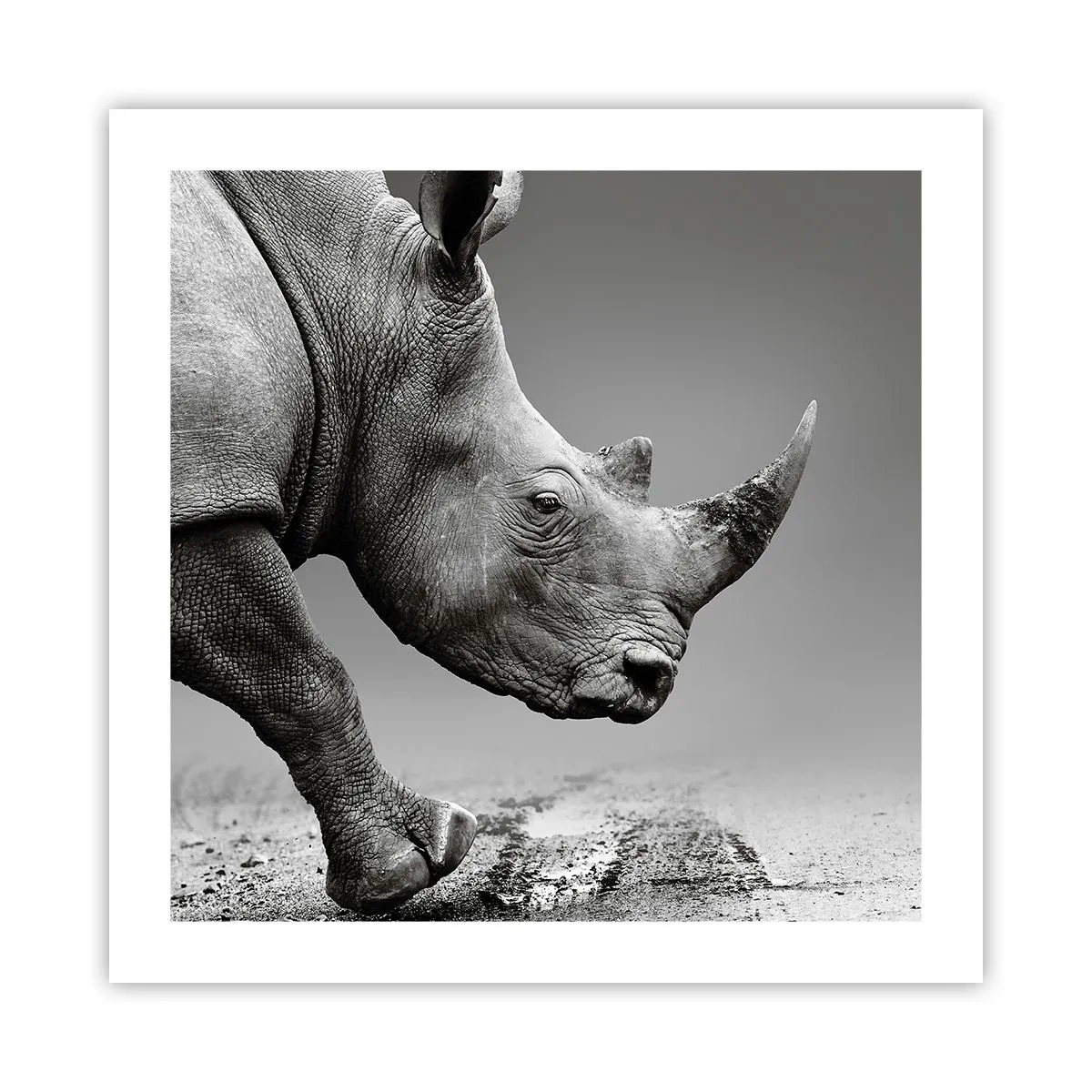 Plakat - En ustoppeli - 50x50 cm