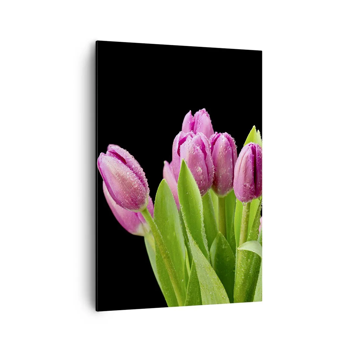 Lærredstryk - Billede på lærred - Forårets lilla glæde - 70x100 cm