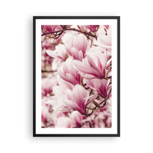 Plakat i sort ramme - Romantisk blomstrende magnoliaer i sart lyserød - 50x70cm - Foråret er lyserødt - Moderne vægdekoration til stue og soveværelse ARTTOR