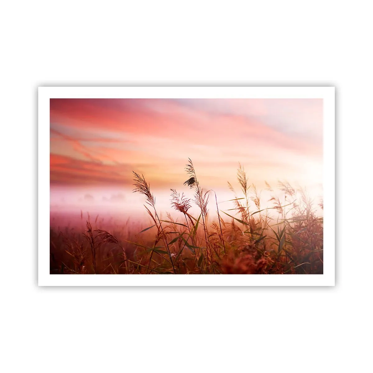 Plakat - Drager, blæsere, vind - 91x61 cm