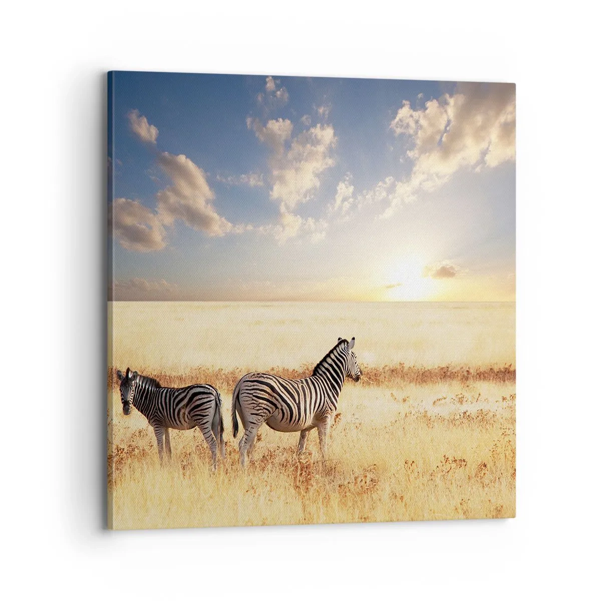 Lærredstryk - Billede på lærred - Gå væk, forstyrr ikke freden - 70x70 cm