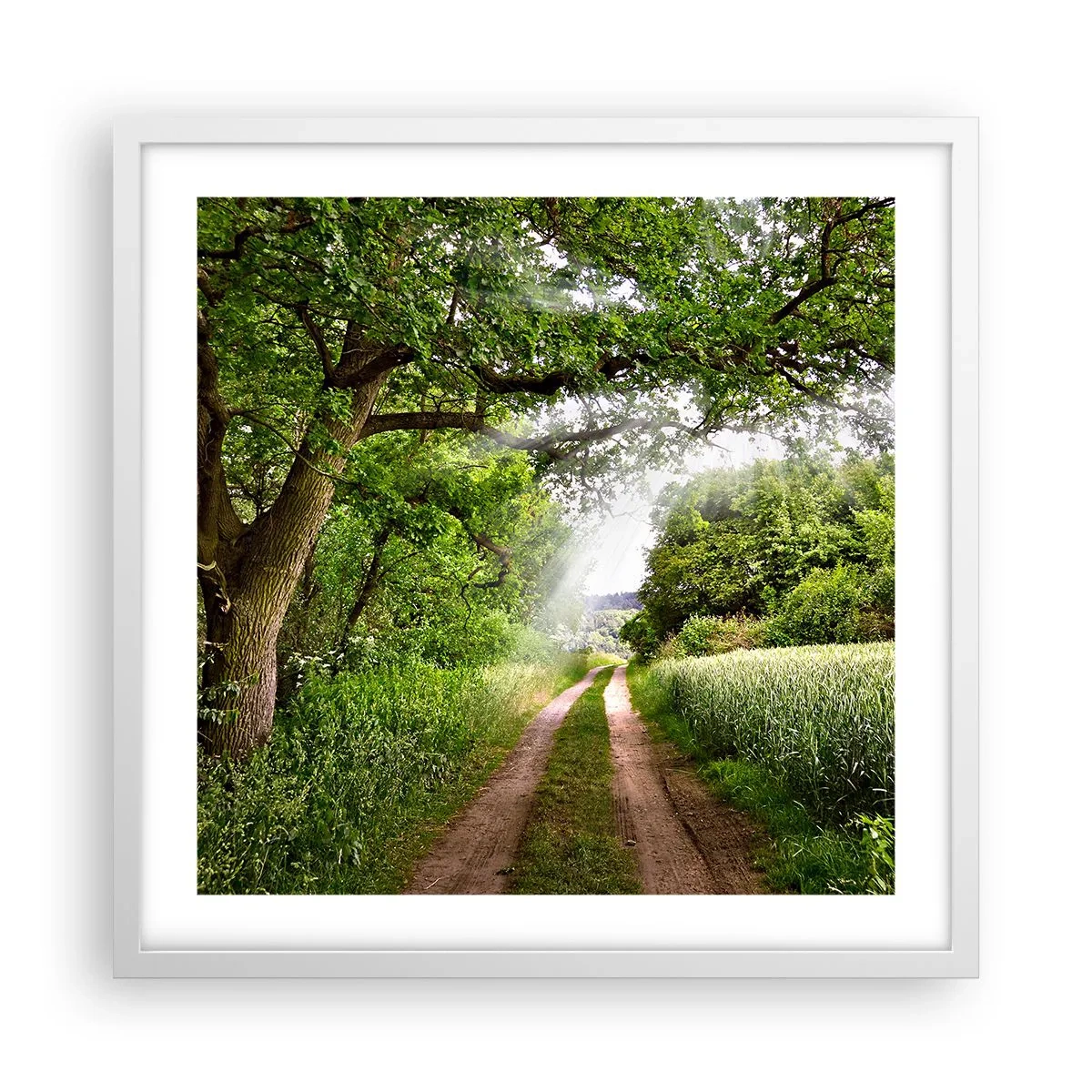 Plakat i hvid ramme - Et in Arcadia ego - 50x50 cm