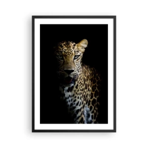Plakat i sort ramme - En leopard mod en mørk baggrund med livlige pelsdetaljer. - 50x70cm - Mørk skønhed - Moderne vægdekoration til stue og soveværelse ARTTOR