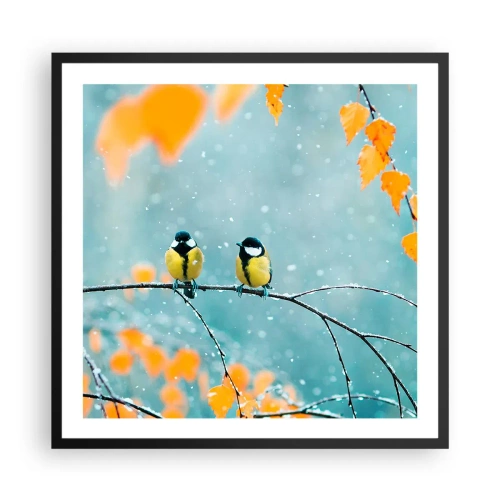Plakat i sort ramme - Sladder om fugle - 60x60 cm
