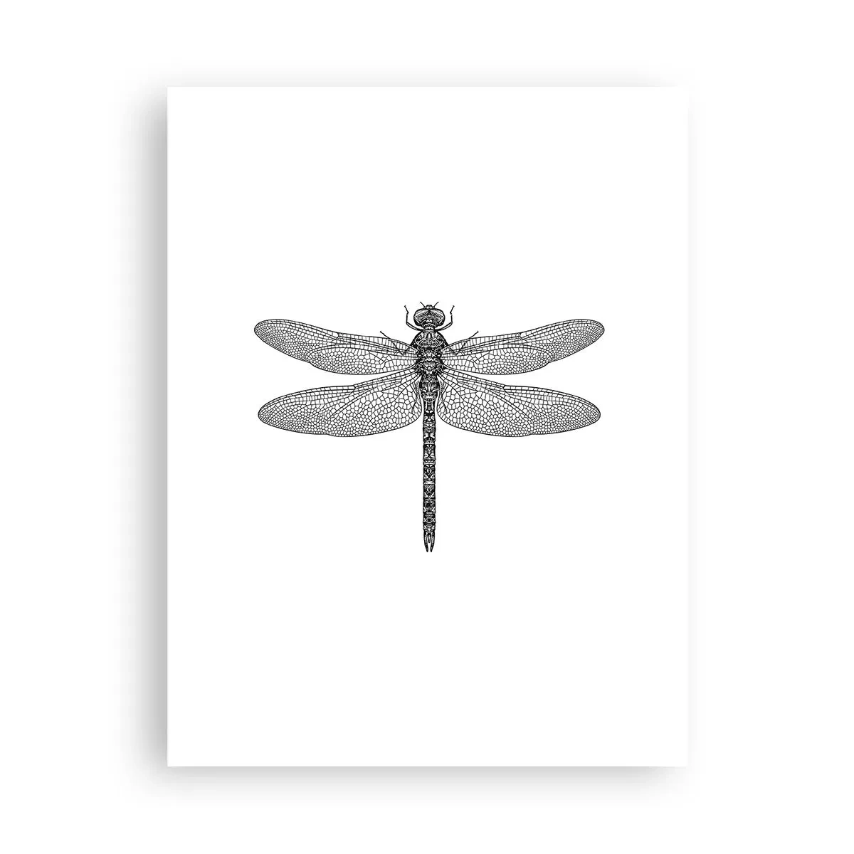 Plakat - Præcision i naturen - 30x40 cm