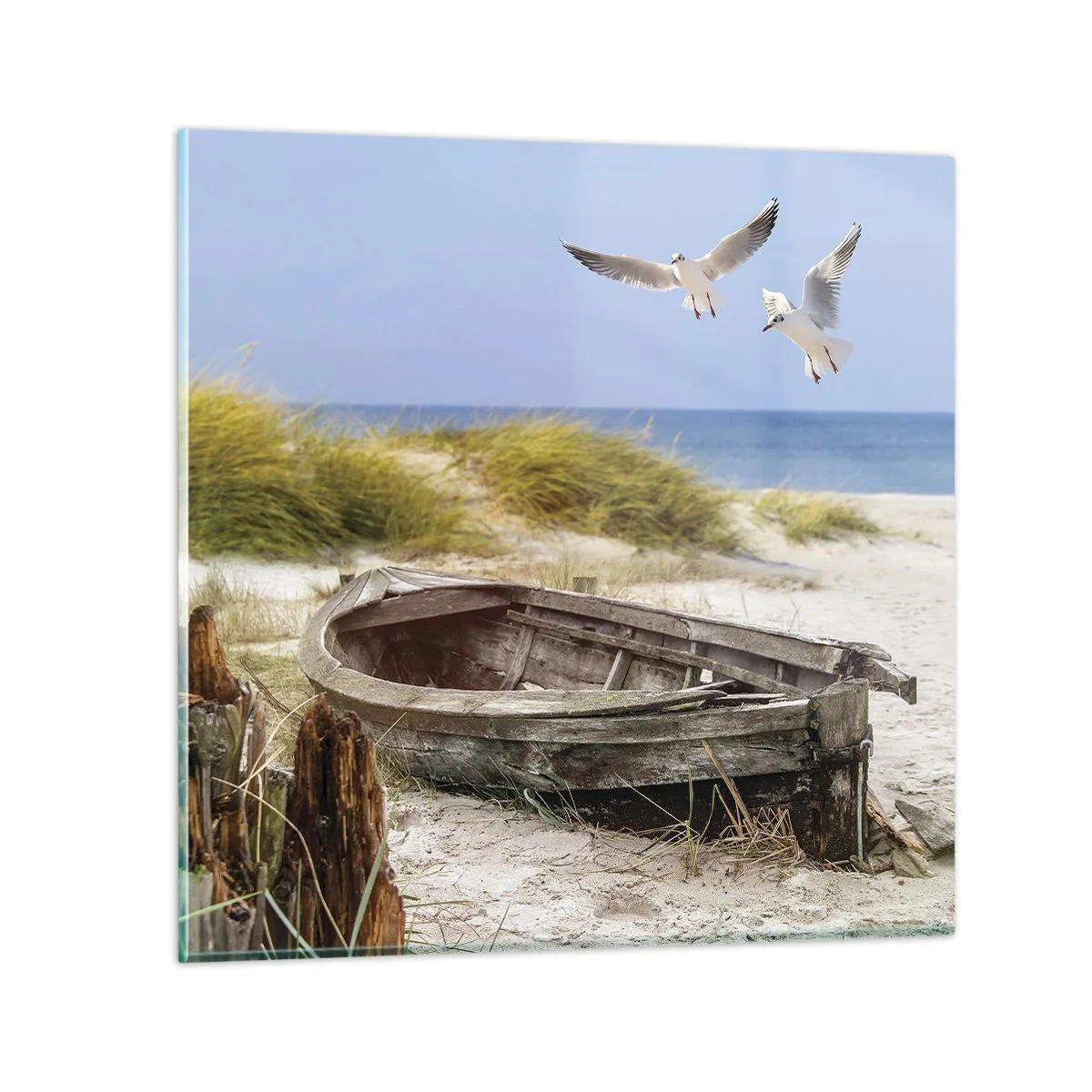 Billede på glas - Badet i vinden - 60x60 cm