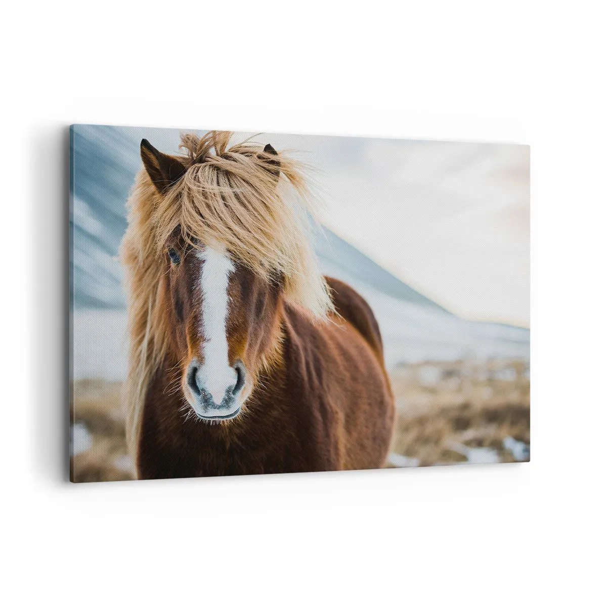 Lærredstryk - Billede på lærred - Kan du mærke friheden? - 100x70 cm