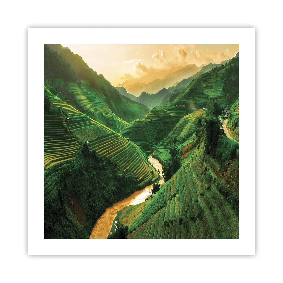 Plakat - Vietnamesisk dal - 50x50 cm